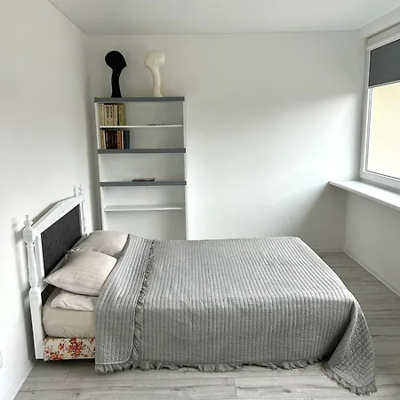 Apartament Vivist Druskieniki